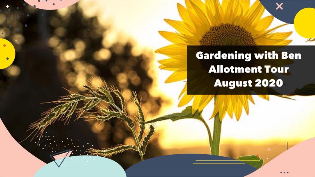 'Video thumbnail for August Allotment Garden Tour 2020 - Homegrown Garden'