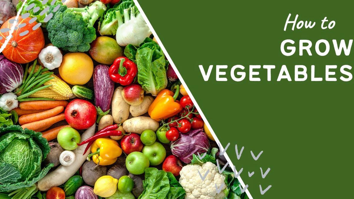 'Video thumbnail for National Allotment Week Episode 4 - How to grow vegetables'