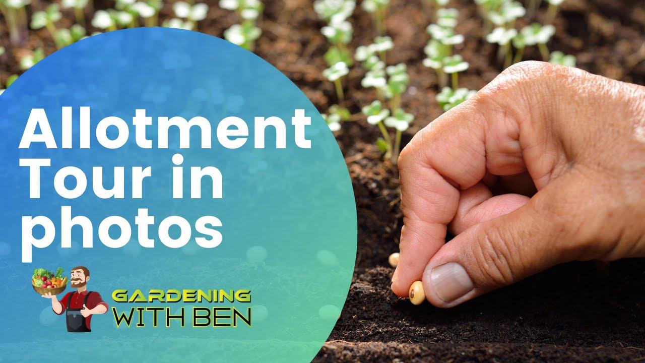 'Video thumbnail for Allotment tour in photos 21st May 2015'