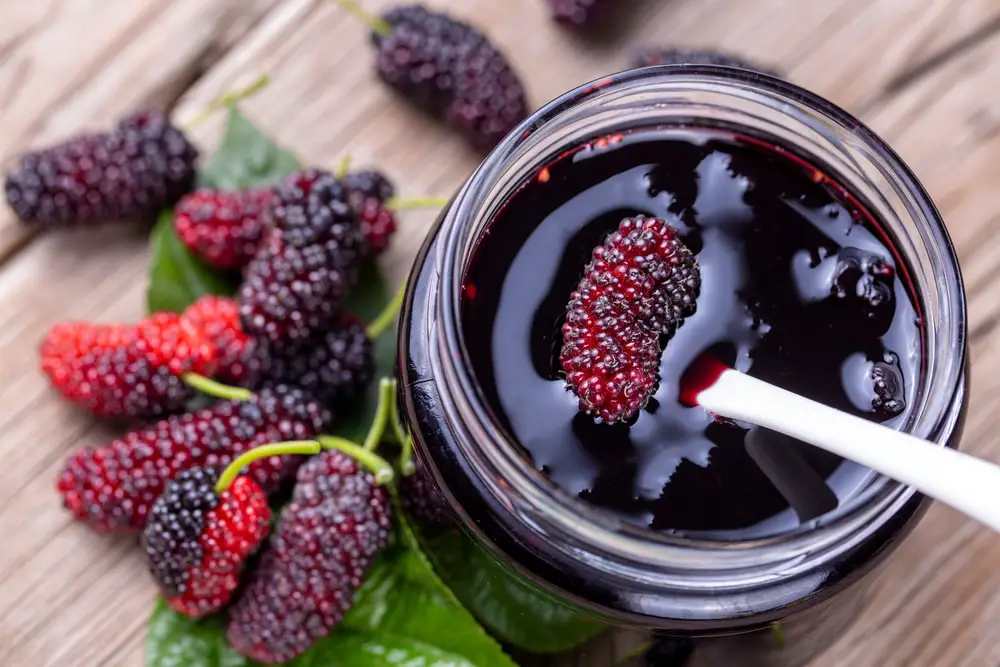 Fresh Mulberry Jam