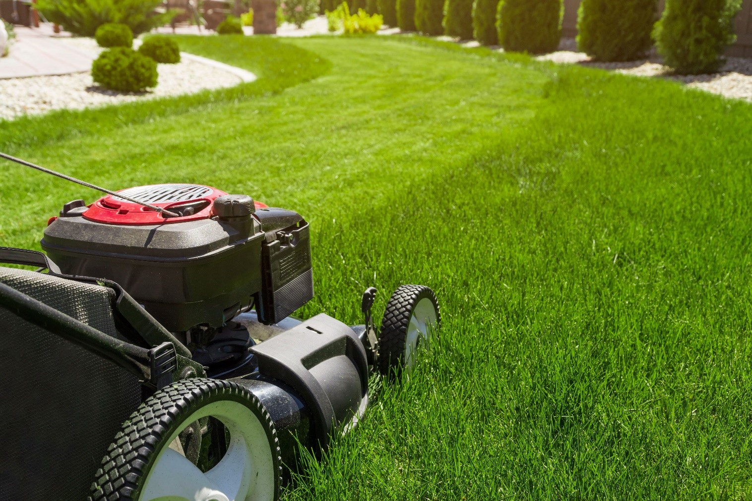 lawnmower cutting grass