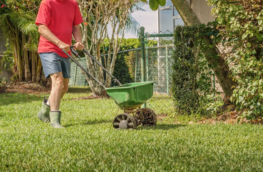 Adding Lime to Grass