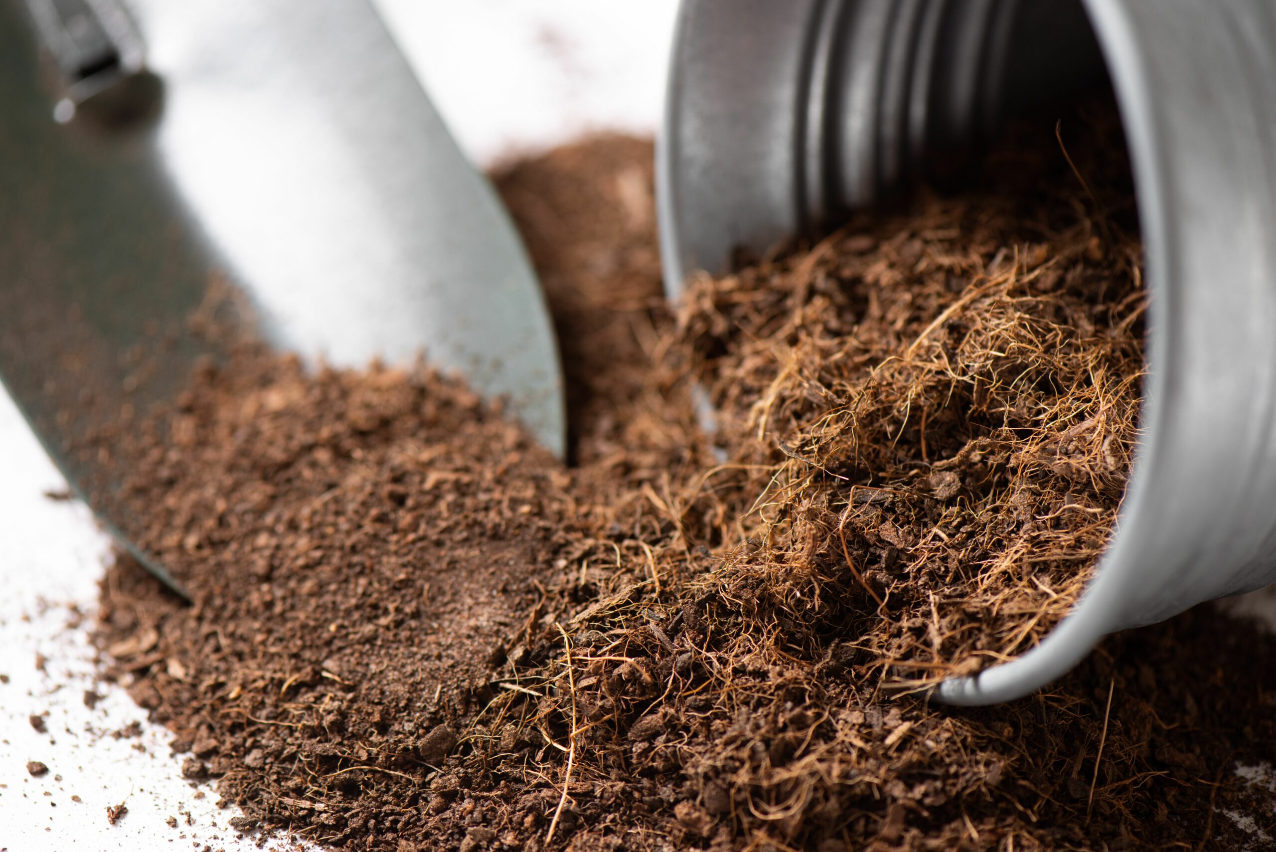 What is the difference between Coco Coir and Coco Peat?