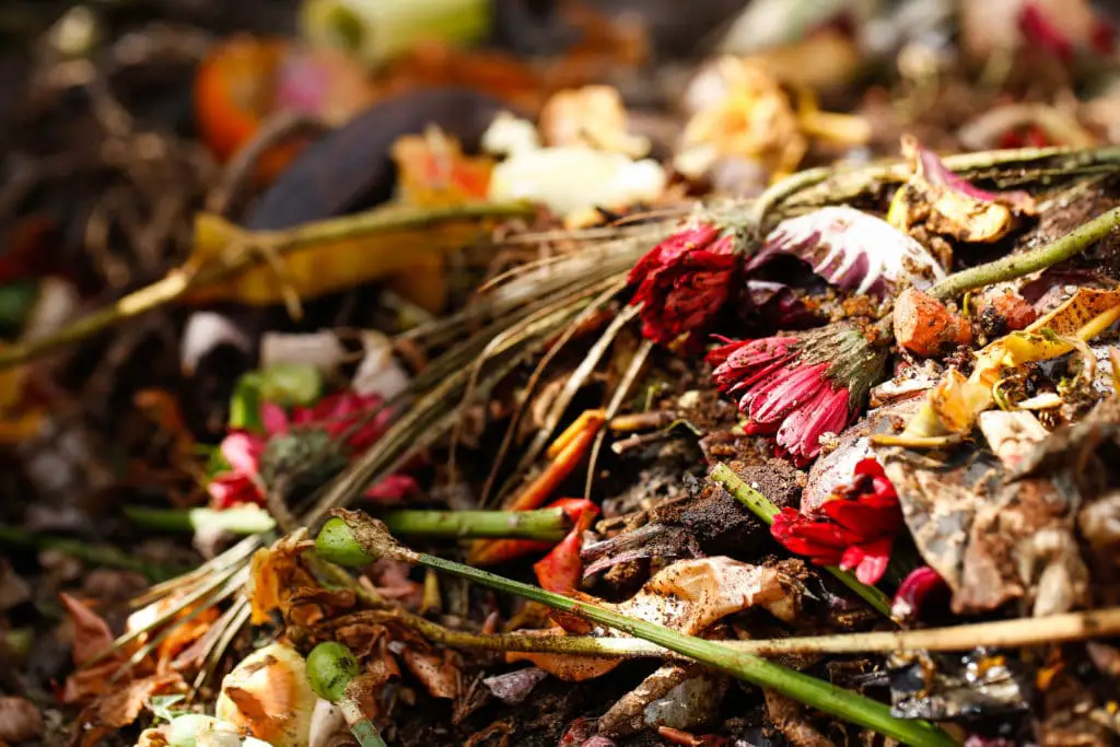 How to Compost with Flowers (A Complete Guide) Green Garden Tribe