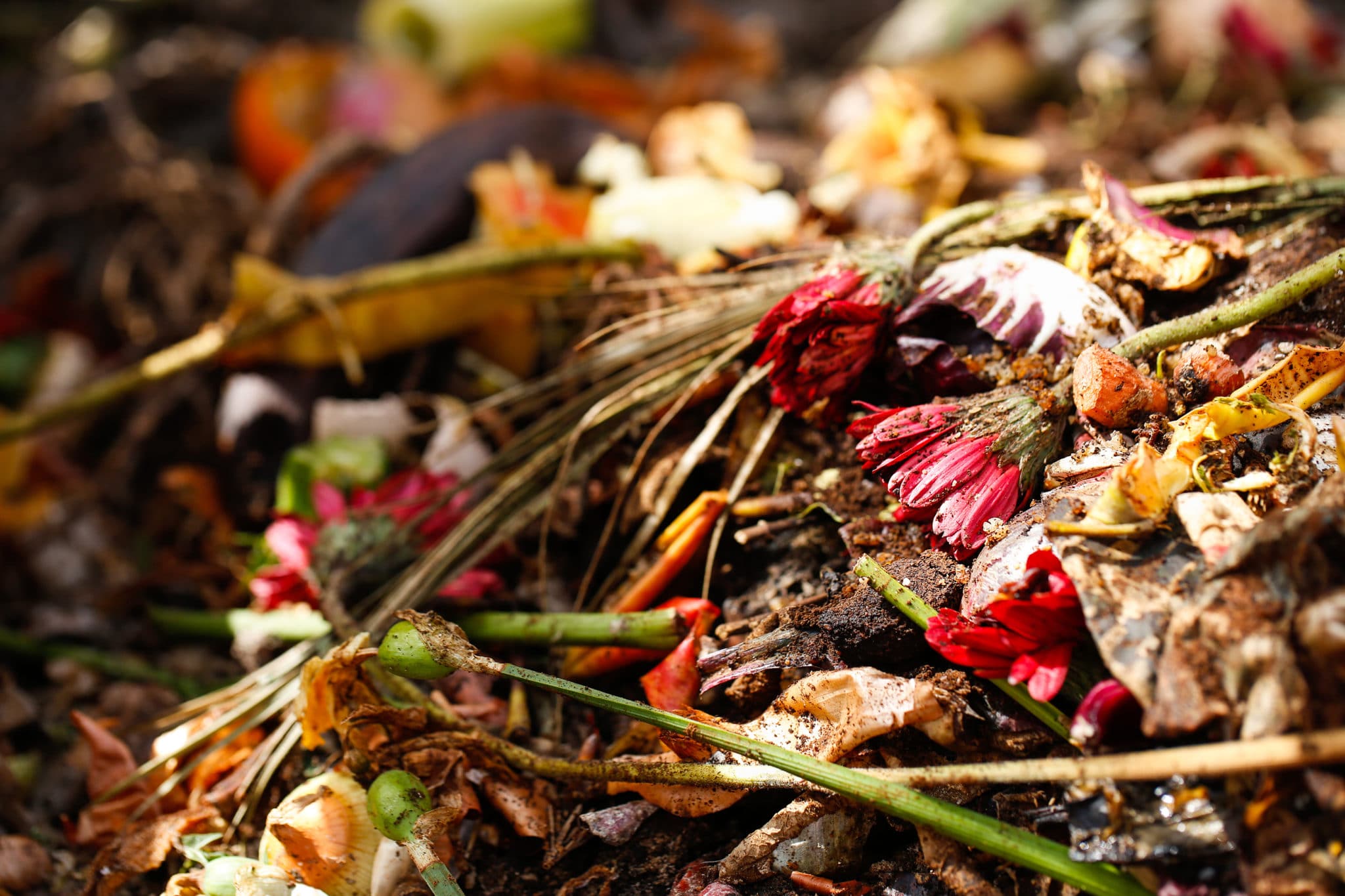 How to Compost with Flowers (A Complete Guide) Green Garden Tribe