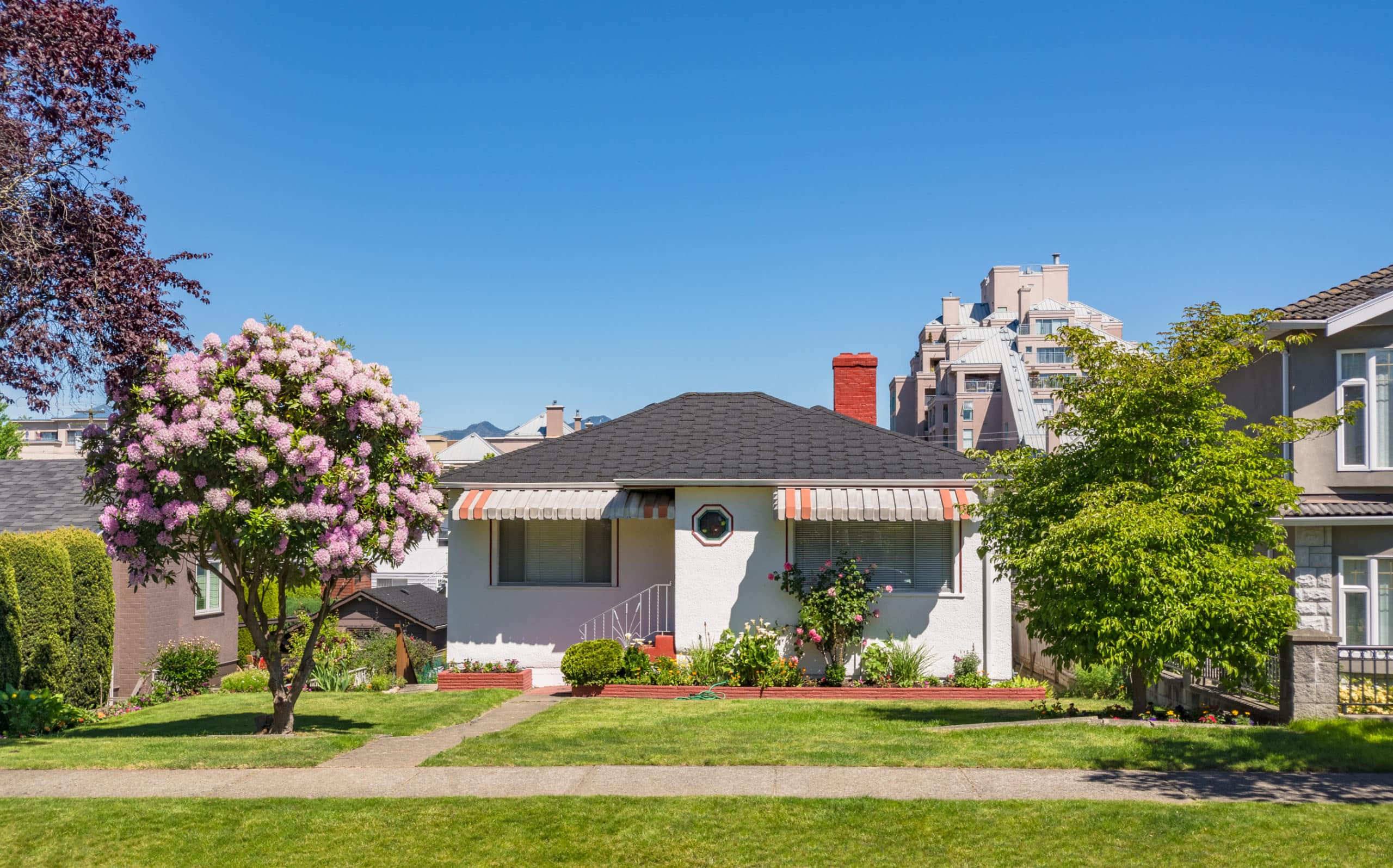 What Small Trees can be Planted Close to a House? - Patricia Godwin