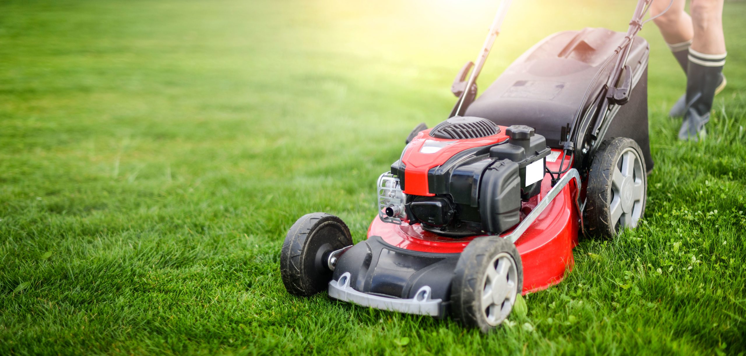 Lawnmower on Grass