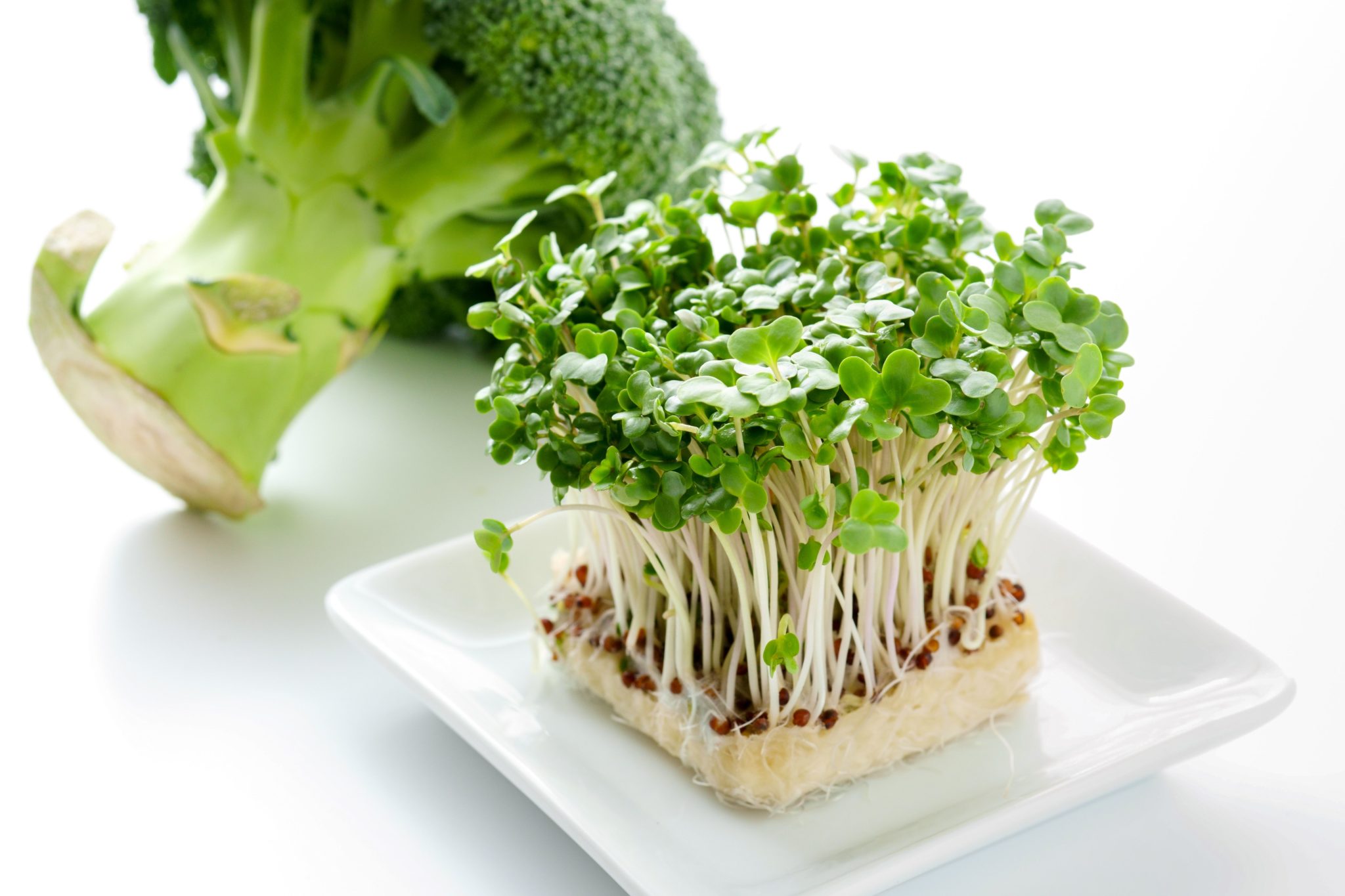 How To Grow Broccoli From Scraps