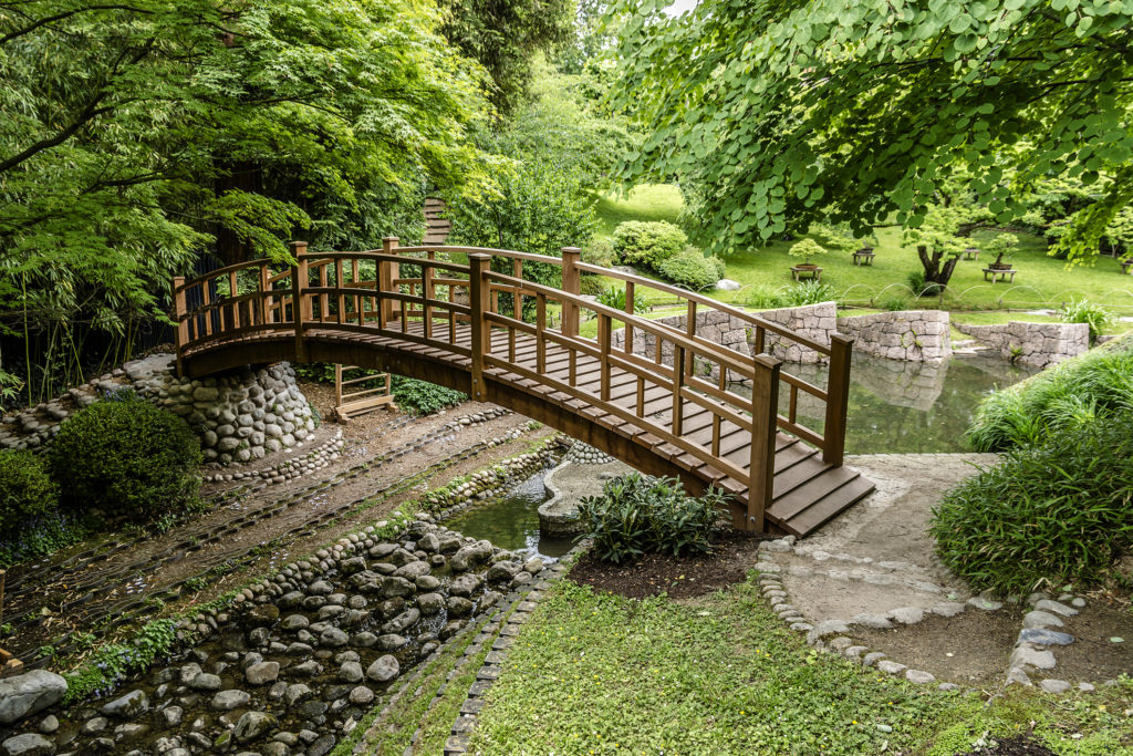 Stone Pond with Wooden Bridge