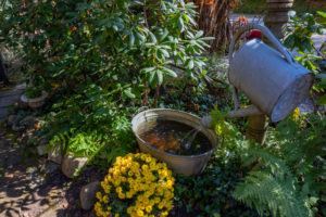  Watering Can Water Feature