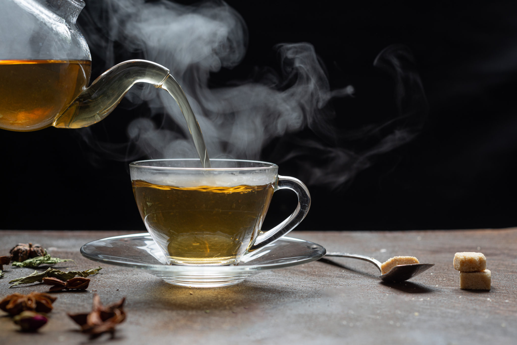 Is Brewed Tea Good for Plants? Green Garden Tribe