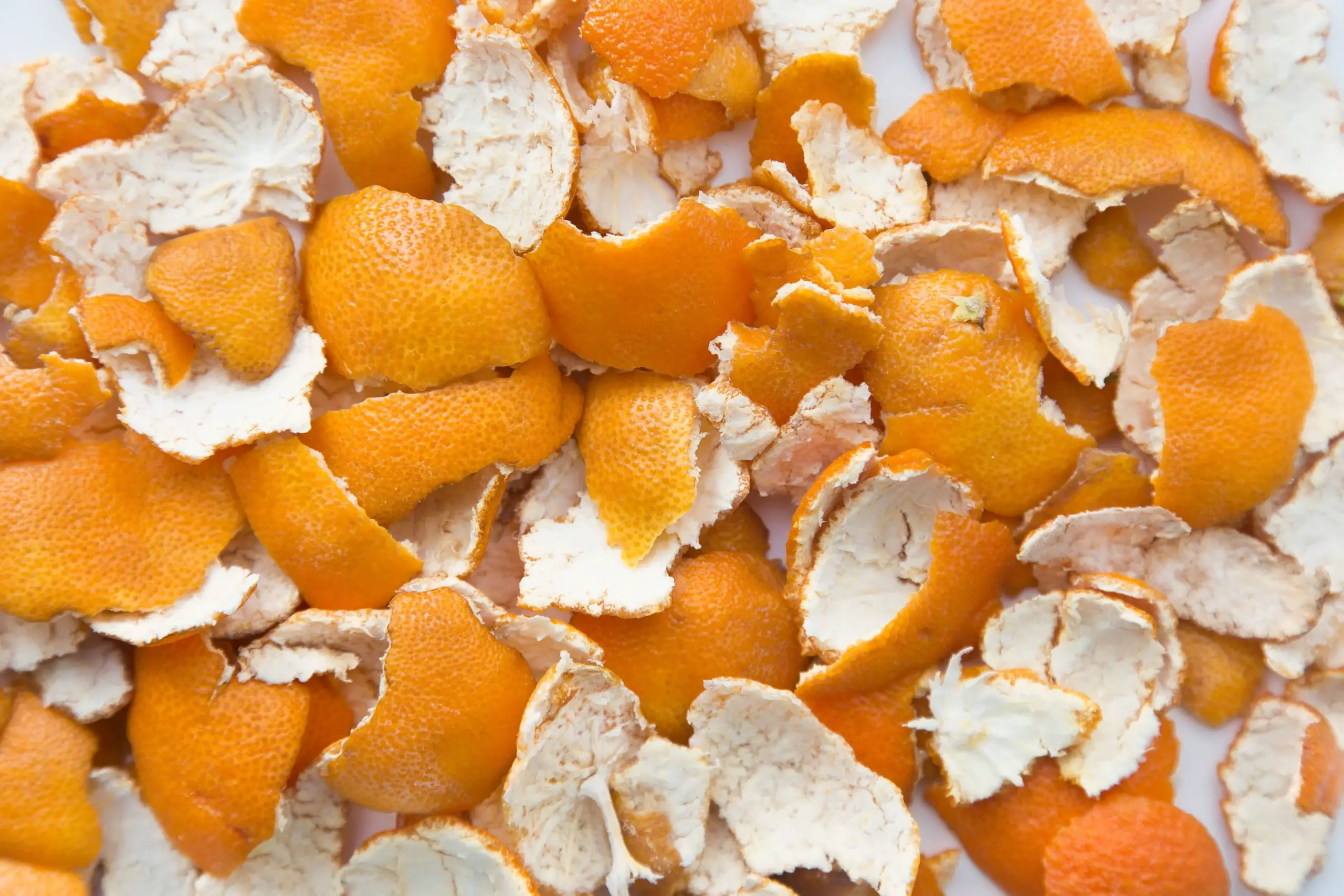 Are Orange Peels Good for Plants?