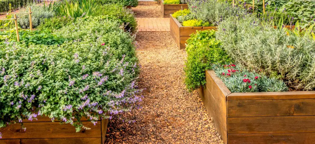 Wooden Garden Bed