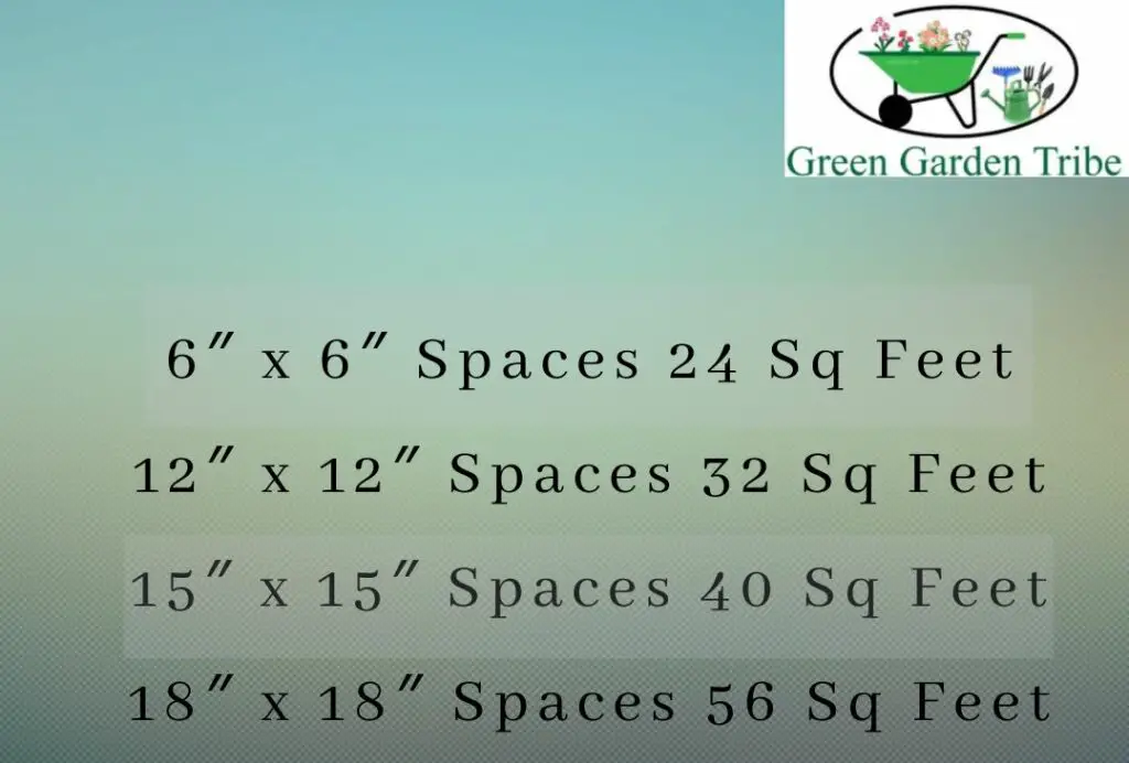 Six Ways To Make Your St Augustine Grass Plugs Grow Stronger And Faster