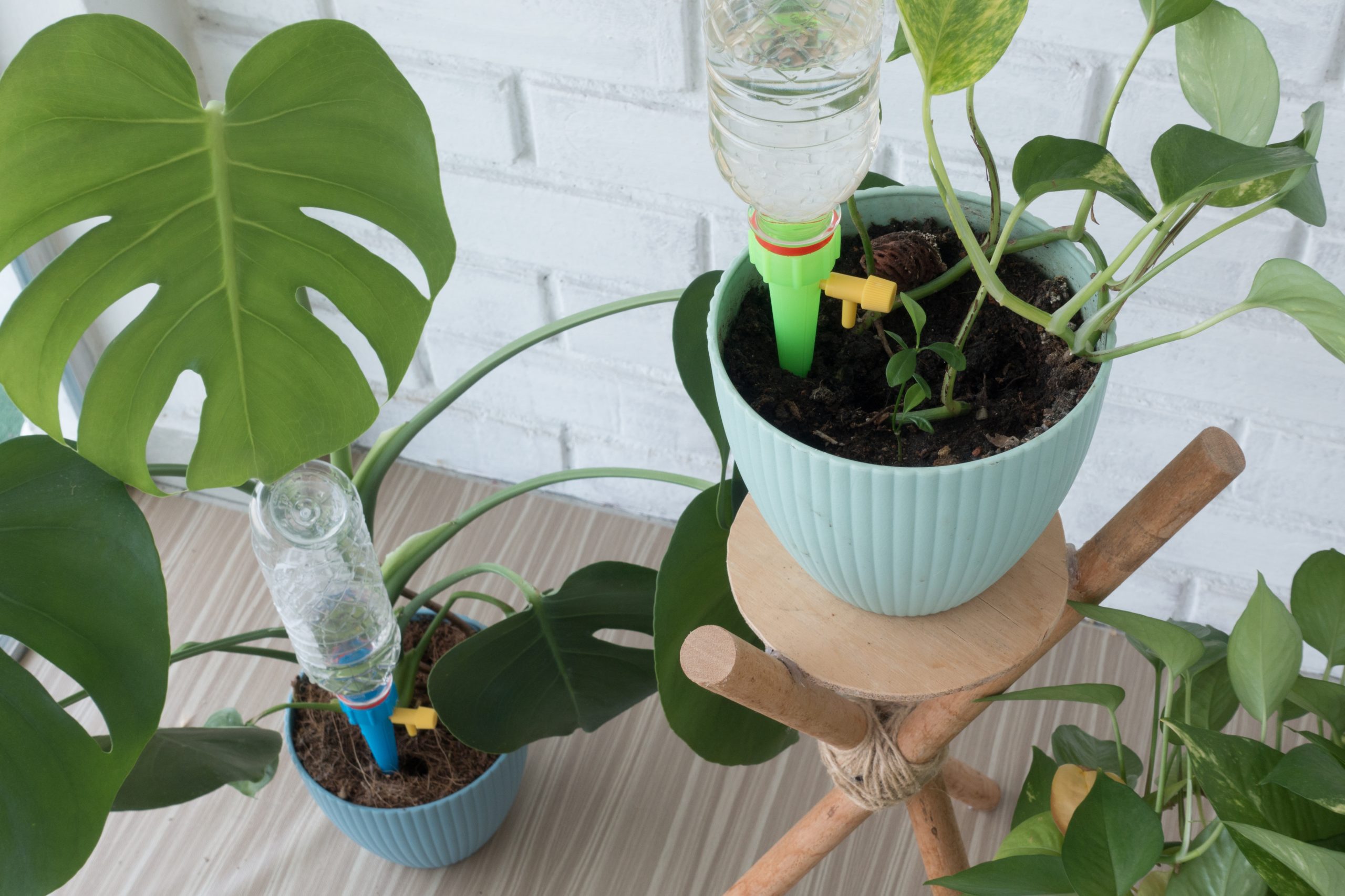 Self Watering Planters