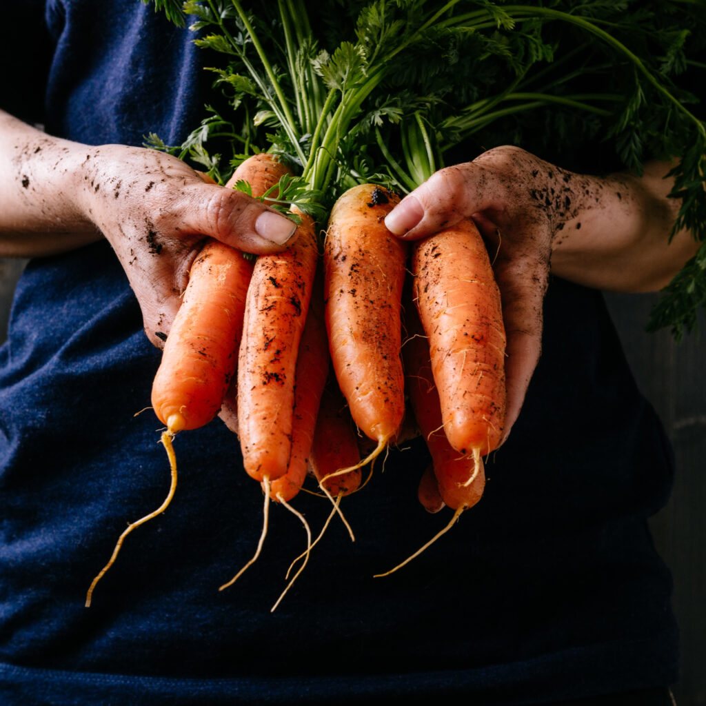 Short and Fat Carrots