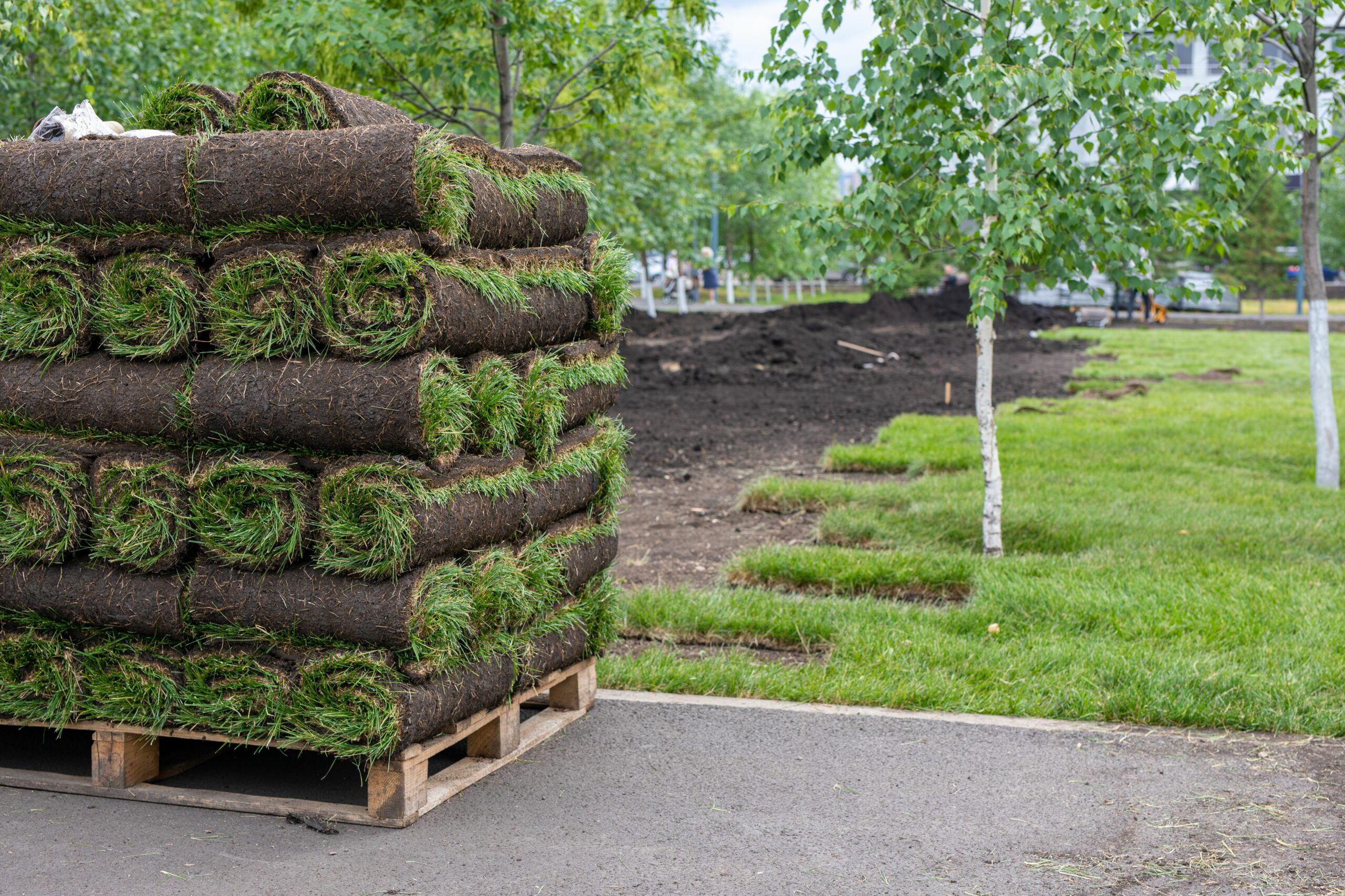 Pallet with Sod in Garden