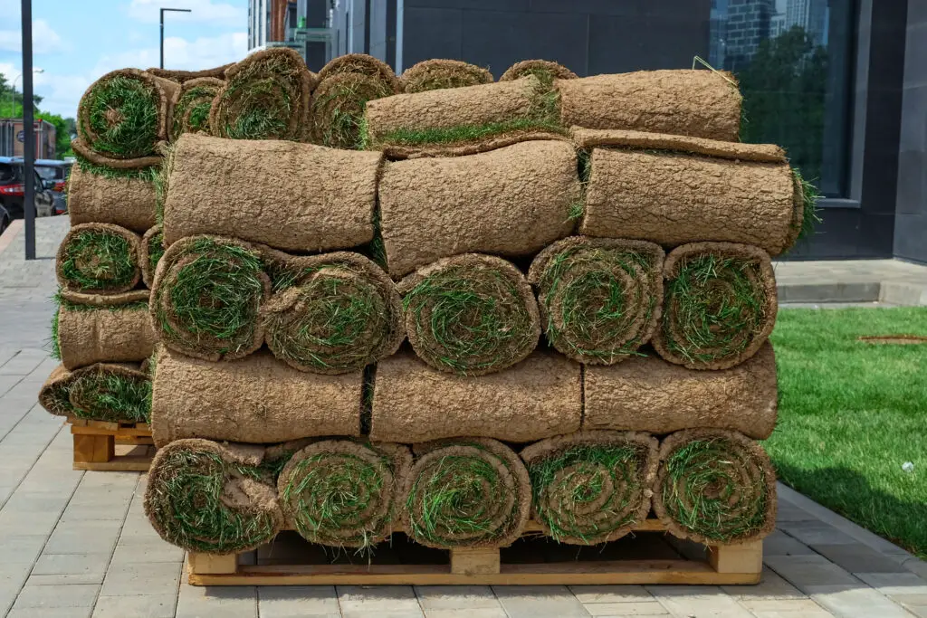 Pallets with Sod