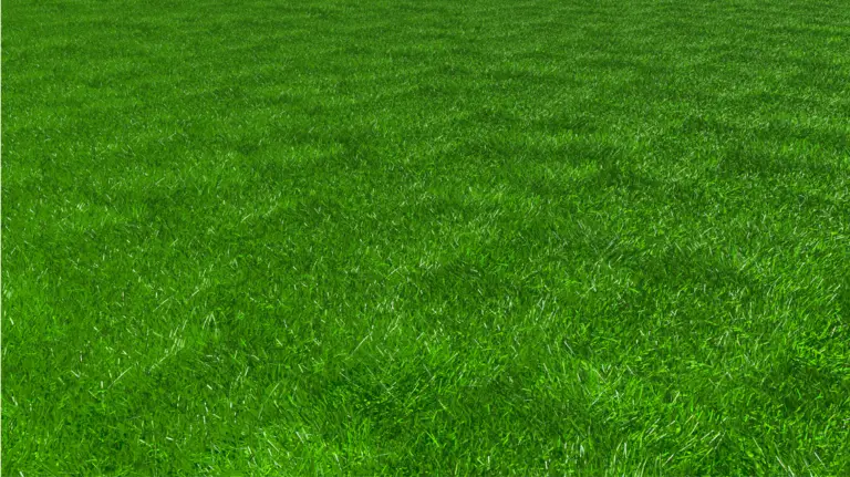 How Much Does TruGreen Cost? – Green Garden Tribe