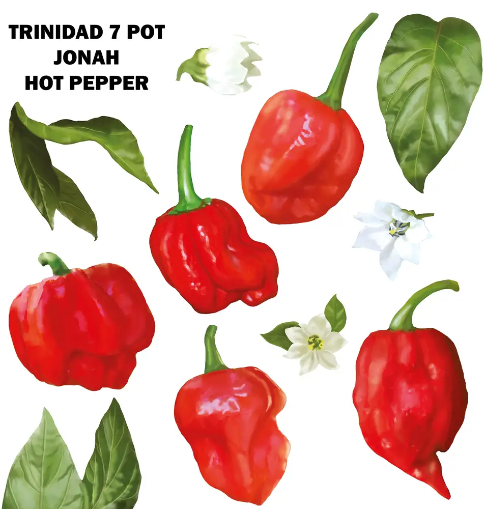 7 Pot Jonah hot pepper collection set