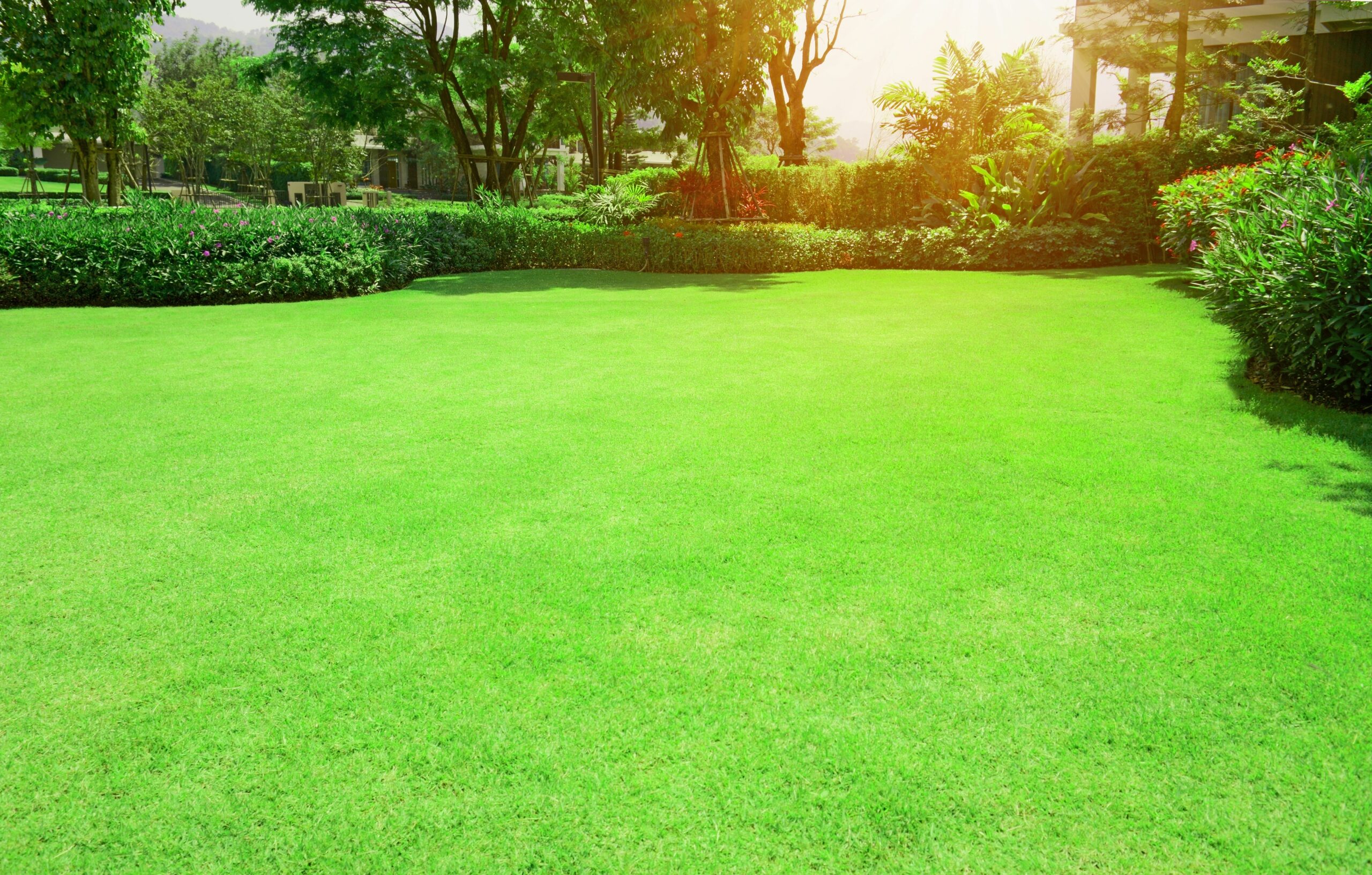 Bermuda Lawn