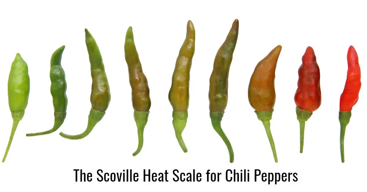 The Scoville Heat Scale for Chili Peppers with different Chilis on white background