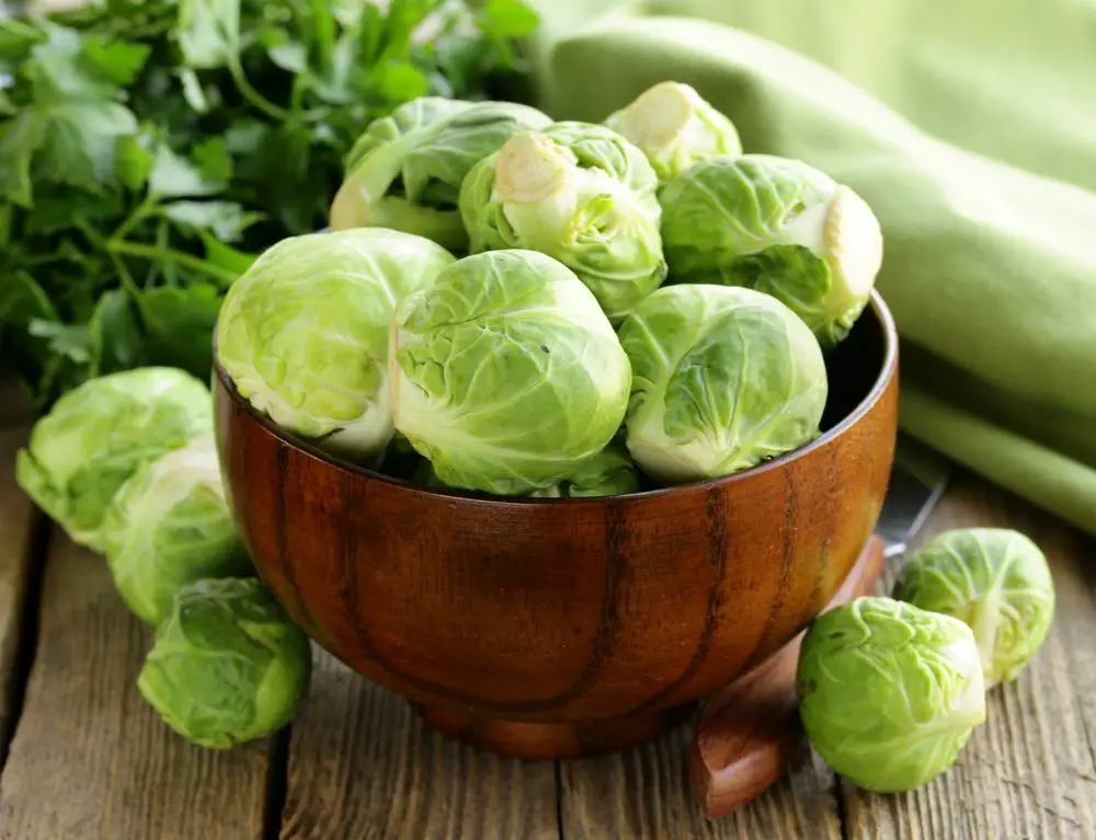 Fresh Raw Organic Green Brussel Sprouts - Brussel Sprouts (Four Growing Stages) - Green Garden Tribe