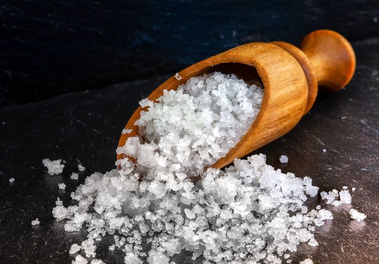 Sea Salt - Putting Salt on Grass (What you Need to Know!) - Patricia Godwin