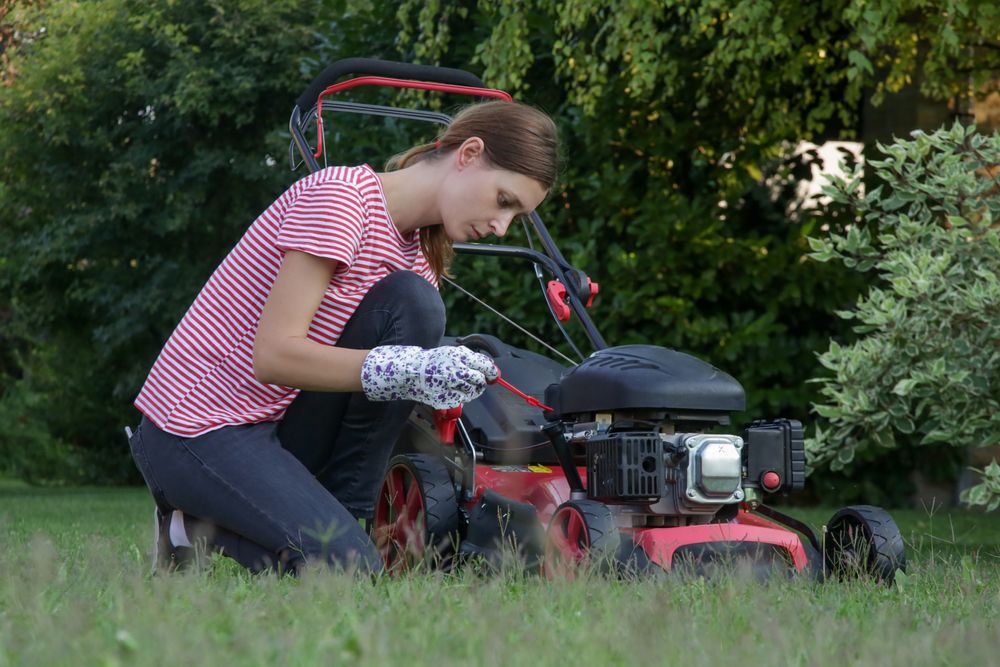 checking lawn mower oil - Starting a Lawnmower That Won't Start After Sitting - Patricia