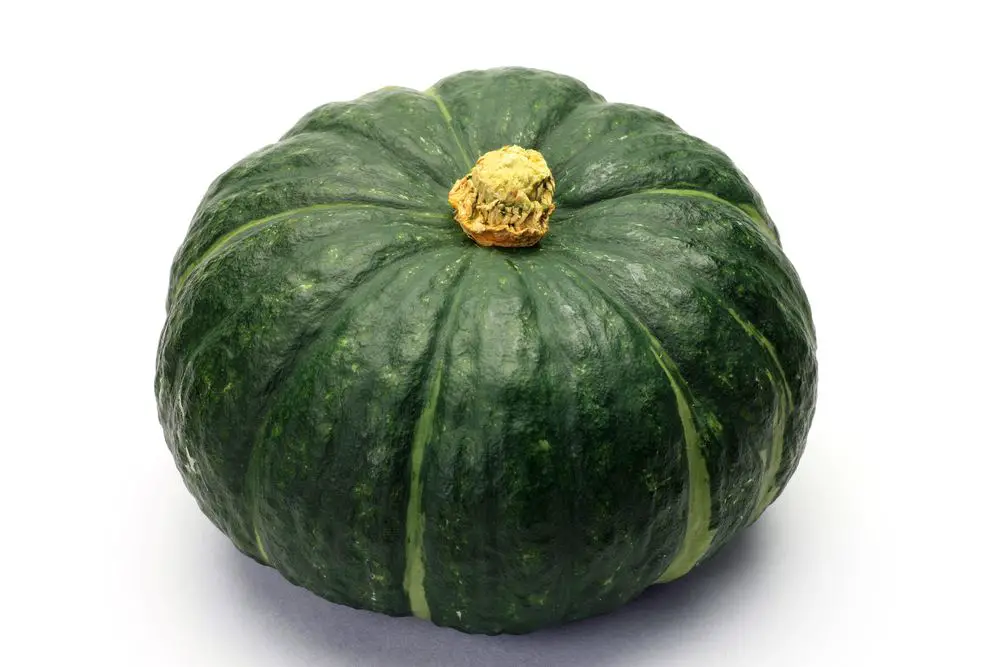 Green Pumpkin