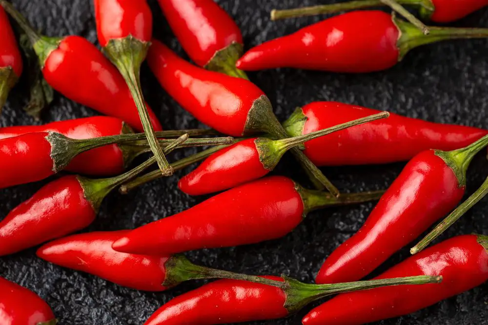 Fresh Red Bird's Eye Chili on rustic dark table - How to Grow Bird's Eye Chili - If You Like It Hot! 