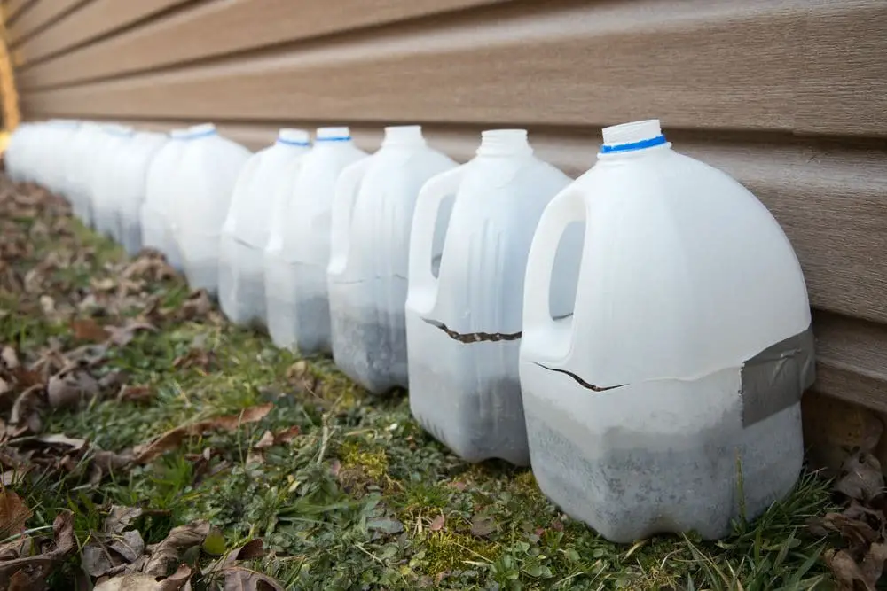 Winter Sowing in Milk Jugs