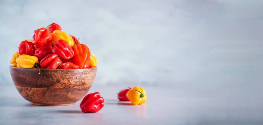 Yellow and red scotch bonnet chili peppers in wooden bowl over grey background. 