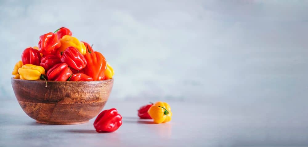 Yellow and red scotch bonnet chili peppers in wooden bowl over grey background.