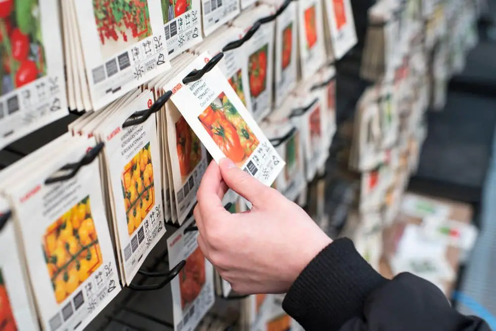 plant seeds in the store - Winter Sowing in Milk Jugs