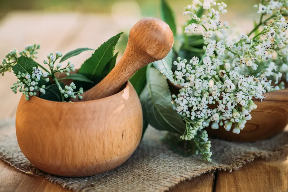 Fresh Valeriana officinalis flowers in wooden mortar.